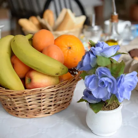 Acropolis - 酒店 3*