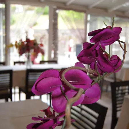 Отель Acropolis -